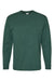 Hanes 5286 Mens Essential-T Long Sleeve Crewneck T-Shirt Athletic Dark Green Flat Front