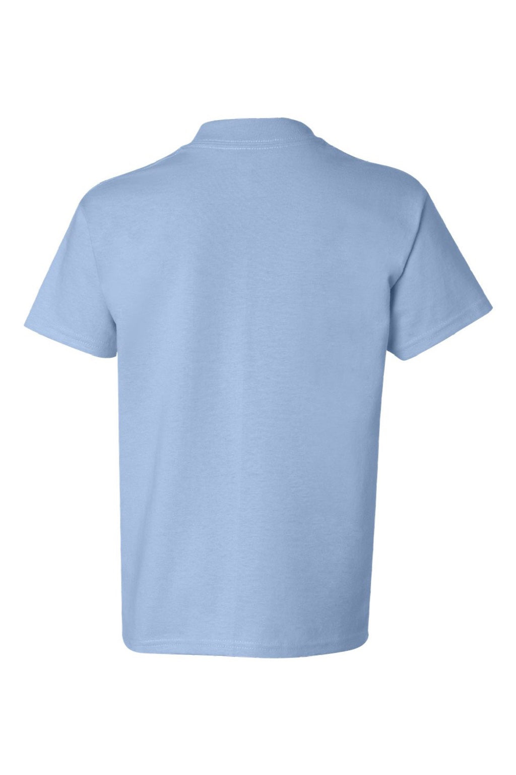 Hanes 5450 Youth Authentic Short Sleeve Crewneck T-Shirt Light Blue Flat Back