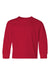Jerzees 29BL/29BLR Youth Dri-Power Moisture Wicking Long Sleeve Crewneck T-Shirt True Red Flat Front