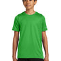 Nike Youth rLegend Dri-Fit Moisture Wicking Short Sleeve Crewneck T-Shirt - Apple Green