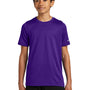 Nike Youth rLegend Dri-Fit Moisture Wicking Short Sleeve Crewneck T-Shirt - Court Purple