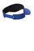Nike Hats NKDC4217/NKFB5675 Mens Dri-Fit Moisture Wicking Team Adjustable Visor Game Royal Blue Flat Back