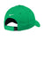 Nike Hats NKAA1859/NKFB6444 Mens Dri-Fit Moisture Wicking Adjustable Hat Lucid Green Flat Back