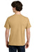 Next Level NL1810 Mens Ideal Jersey Short Sleeve Crewneck T-Shirt Camel Brown Model Back