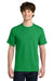 Next Level NL1810 Mens Ideal Jersey Short Sleeve Crewneck T-Shirt Kelly Green Model Front