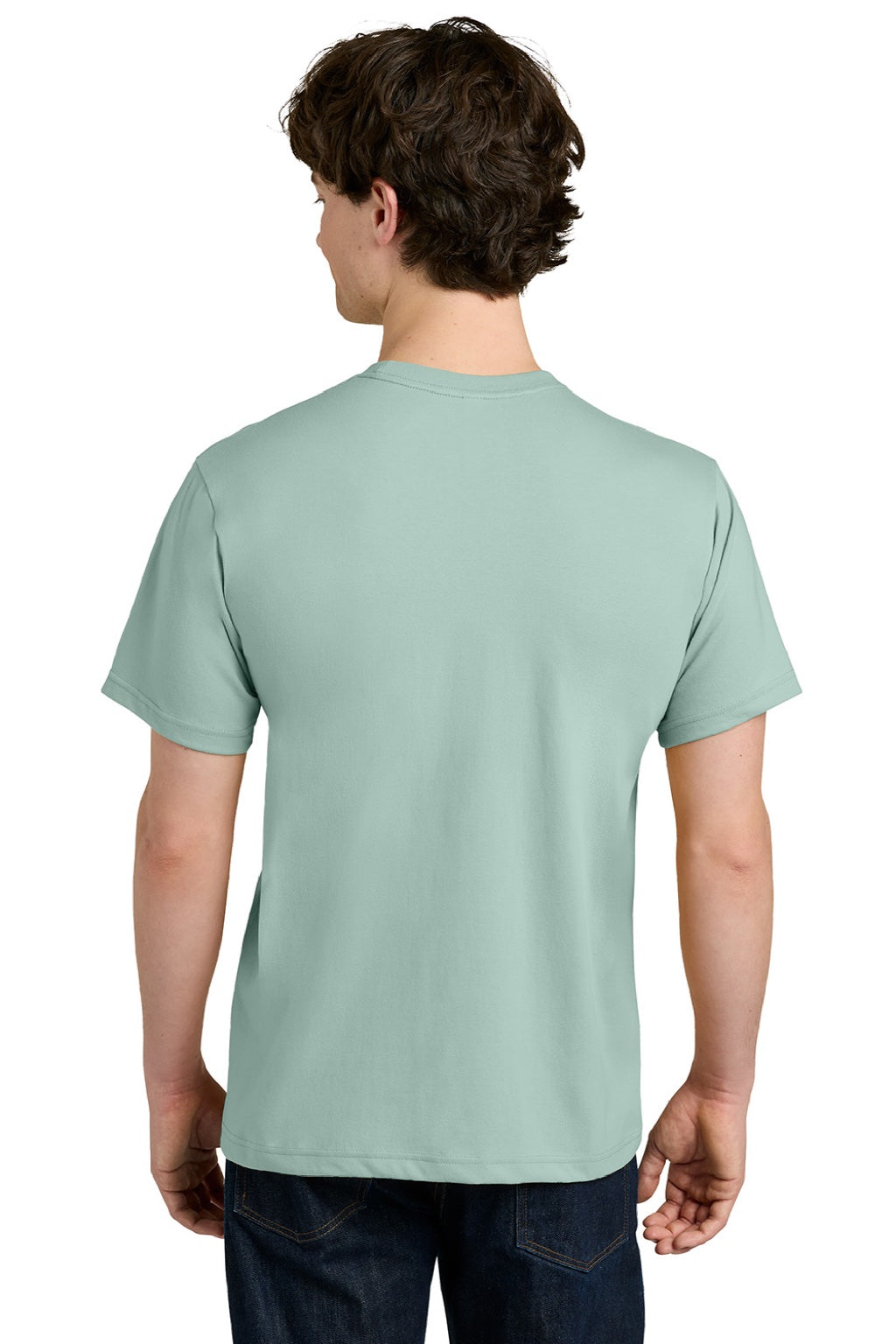 Next Level NL1810 Mens Ideal Jersey Short Sleeve Crewneck T-Shirt Seafoam Green Model Back