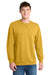 Port & Company PC098 Mens Beach Wash Fleece Crewneck Sweatshirt Dijon Yellow Model Front