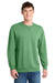 Port & Company PC098 Mens Beach Wash Fleece Crewneck Sweatshirt Safari Green Model Front