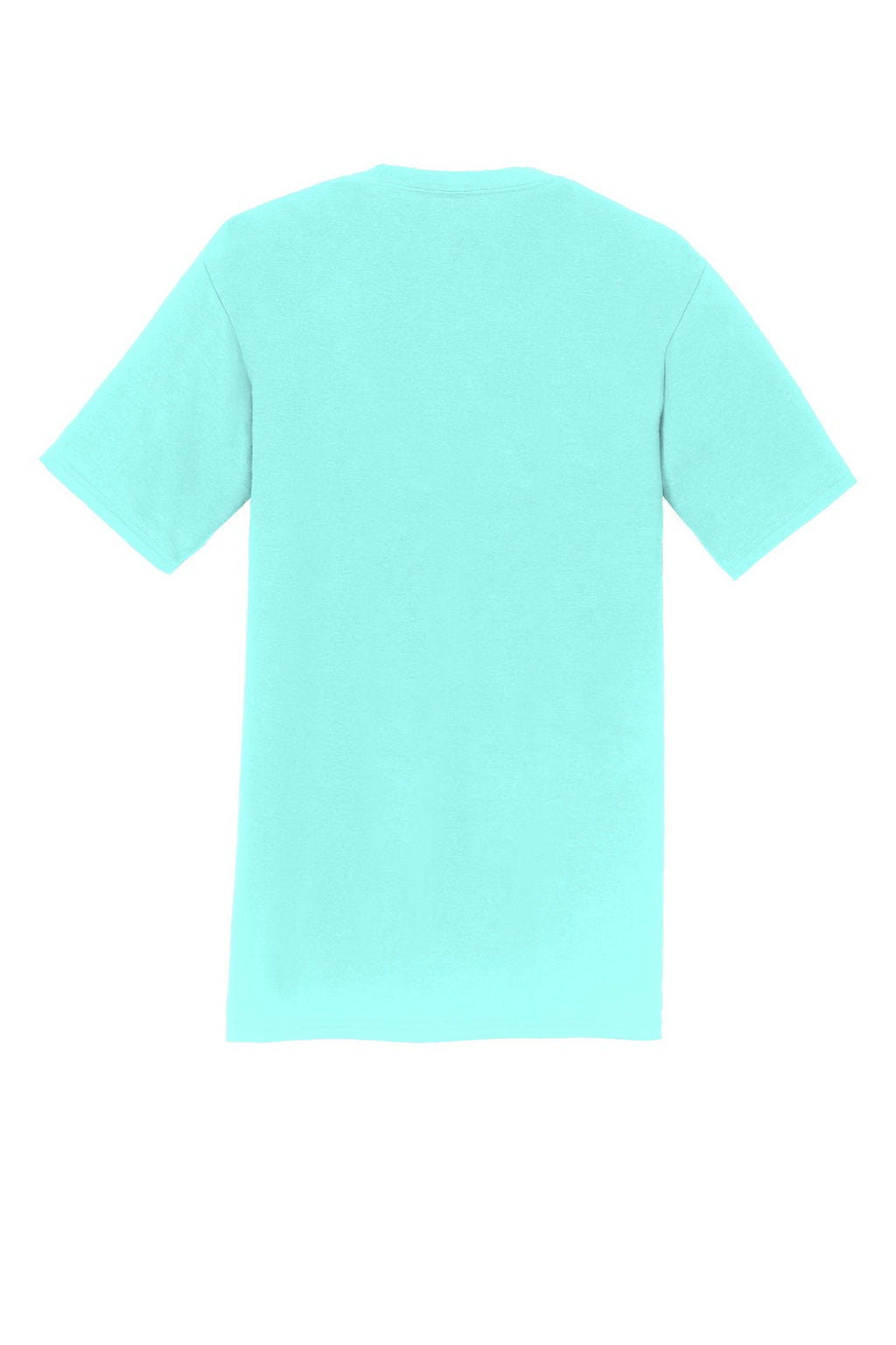 Port & Company PC450 Mens Fan Favorite Short Sleeve Crewneck T-Shirt True Celadon Blue Flat Back