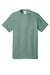 Port & Company PC54/PC54T Mens Core Short Sleeve Crewneck T-Shirt Laurel Green Flat Front