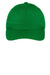 Sport-Tek Hats YSTC10 Youth Dry Zone Moisture Wicking Adjustable Hat Kelly Green Flat Front
