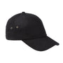 Big Accessories Hats Mens Adjustable Hat - Black