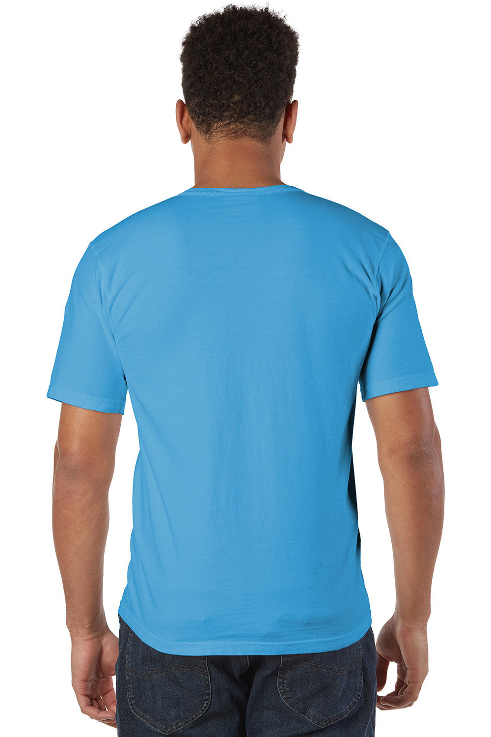 Champion CD100 Mens Garment Dyed Short Sleeve Crewneck T-Shirt Delicate Blue Model Back