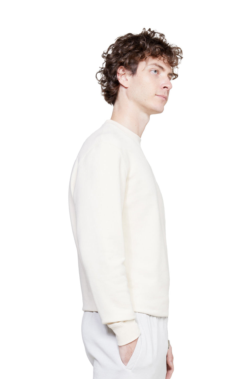 Lane Seven LS14004 Mens Premium Crewneck Sweatshirt Sandshell Model Side