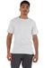 Champion T425 Mens Short Sleeve Crewneck T-Shirt Ash Grey Model Front