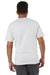 Champion T425 Mens Short Sleeve Crewneck T-Shirt Ash Grey Model Back