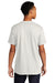 Next Level NL3600/3600 Mens Fine Jersey Short Sleeve Crewneck T-Shirt Oatmeal Back