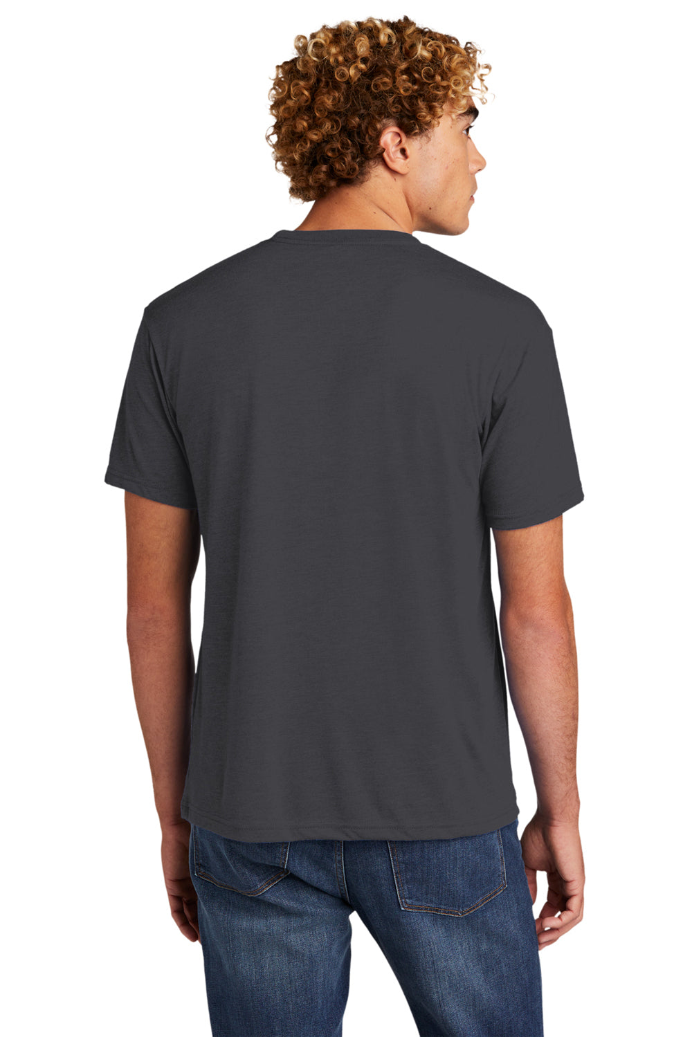 Next Level NL6010/6010 Mens Jersey Short Sleeve Crewneck T-Shirt Graphite Grey Back