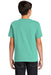 Comfort Colors 9018/C9018 Youth Short Sleeve Crewneck T-Shirt Chalky Mint Green Back