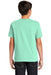 Comfort Colors 9018/C9018 Youth Short Sleeve Crewneck T-Shirt Island Reef Green Back