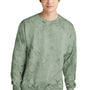 Comfort Colors Mens Color Blast Crewneck Sweatshirt - Fern Green