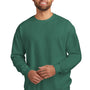 Comfort Colors Mens Crewneck Sweatshirt - Light Green