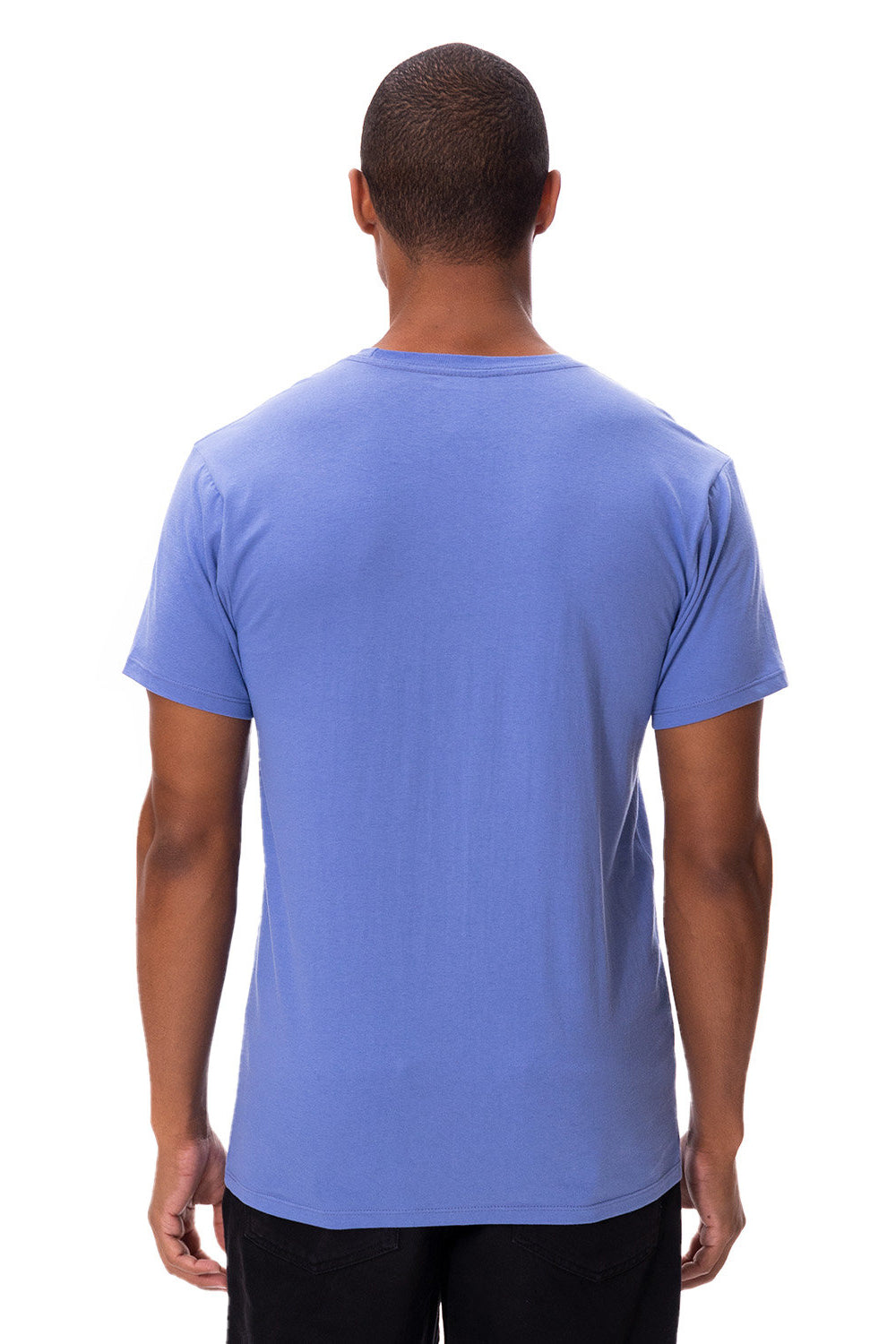 Threadfast Apparel 180A Mens Ultimate Short Sleeve Crewneck T-Shirt Denim Blue Back