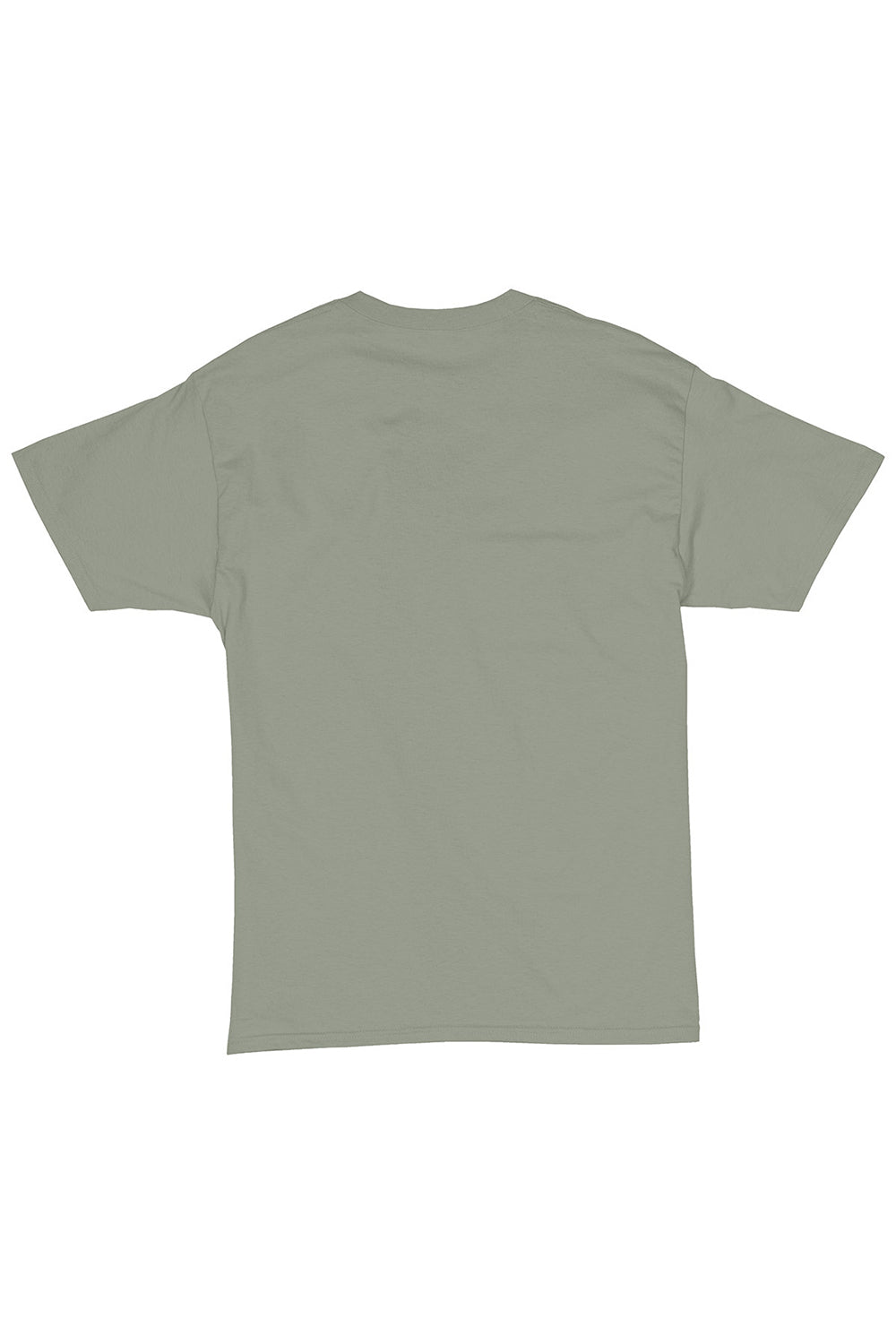 Hanes 5280 Mens ComfortSoft Short Sleeve Crewneck T-Shirt Stonewashed Green Flat Back