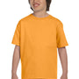 Hanes Youth Beefy-T Short Sleeve Crewneck T-Shirt - Gold - Closeout