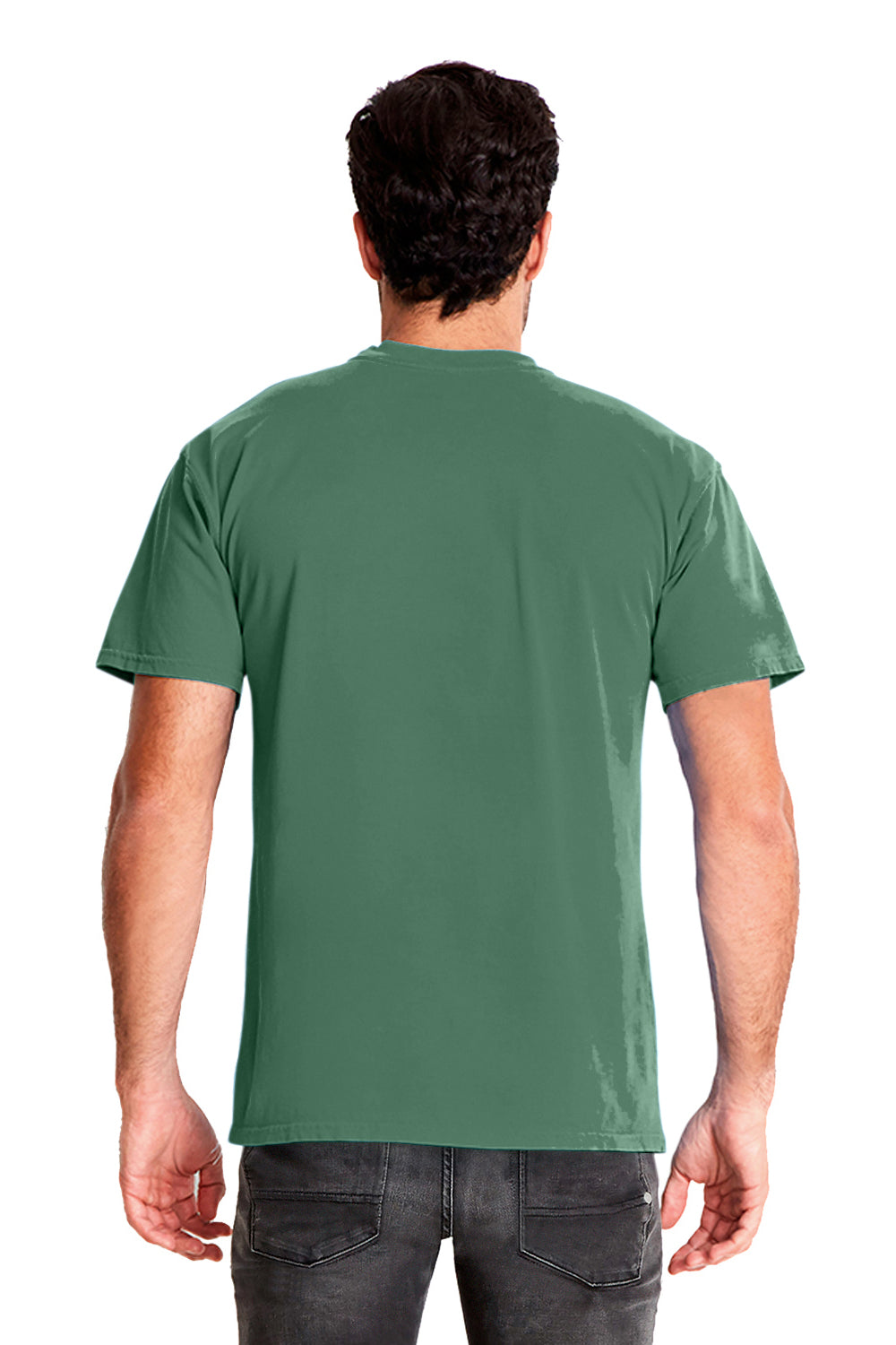 Next Level 7415 Mens Inspired Dye Jersey Short Sleeve Crewneck T-Shirt w/ Pocket Clover Green Back