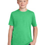 District Youth Perfect Tri Short Sleeve Crewneck T-Shirt - Green Frost