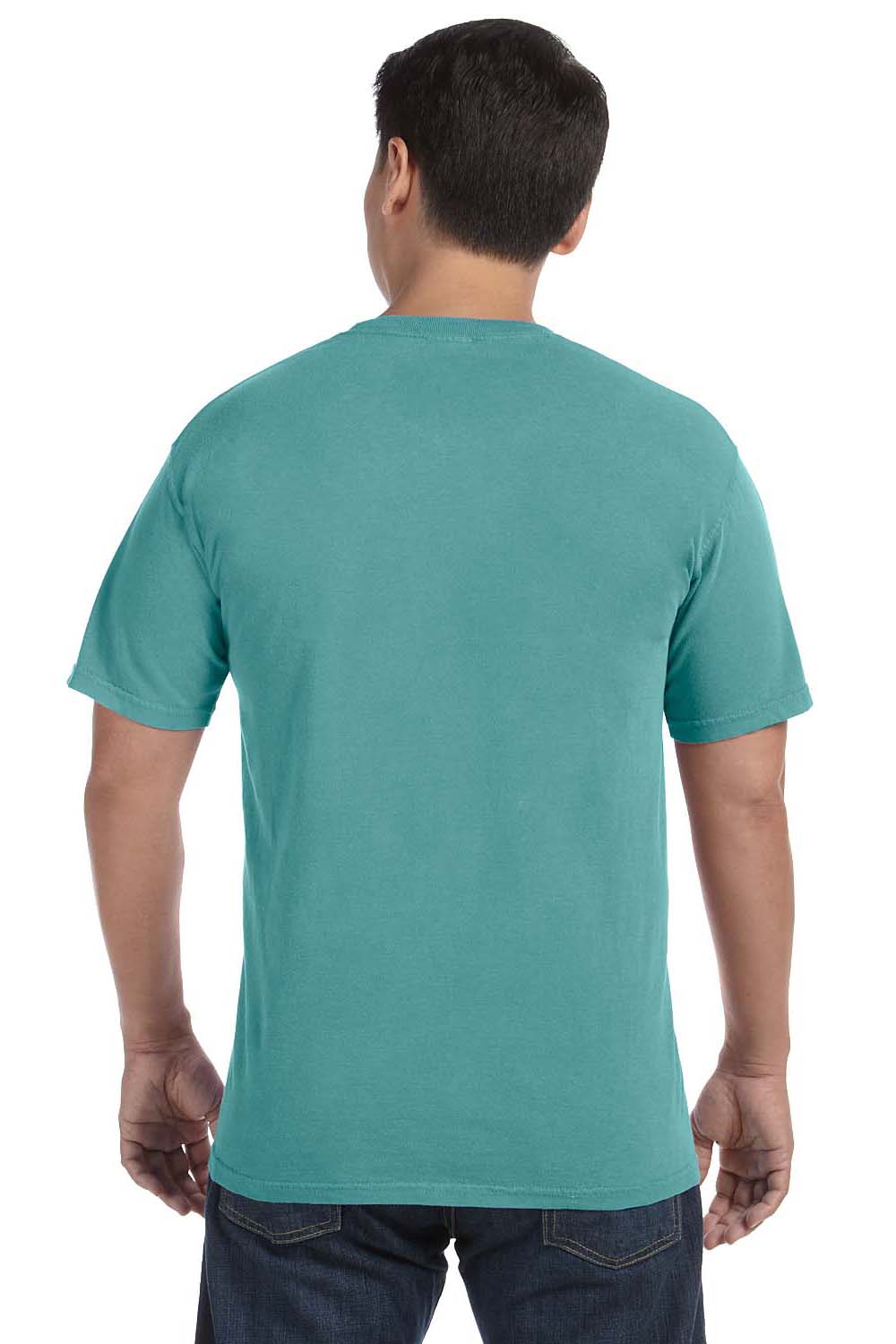 Comfort Colors C1717 Mens Short Sleeve Crewneck T-Shirt Seafoam Green Back