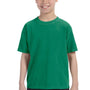 Comfort Colors Youth Short Sleeve Crewneck T-Shirt - Grass Green - Closeout