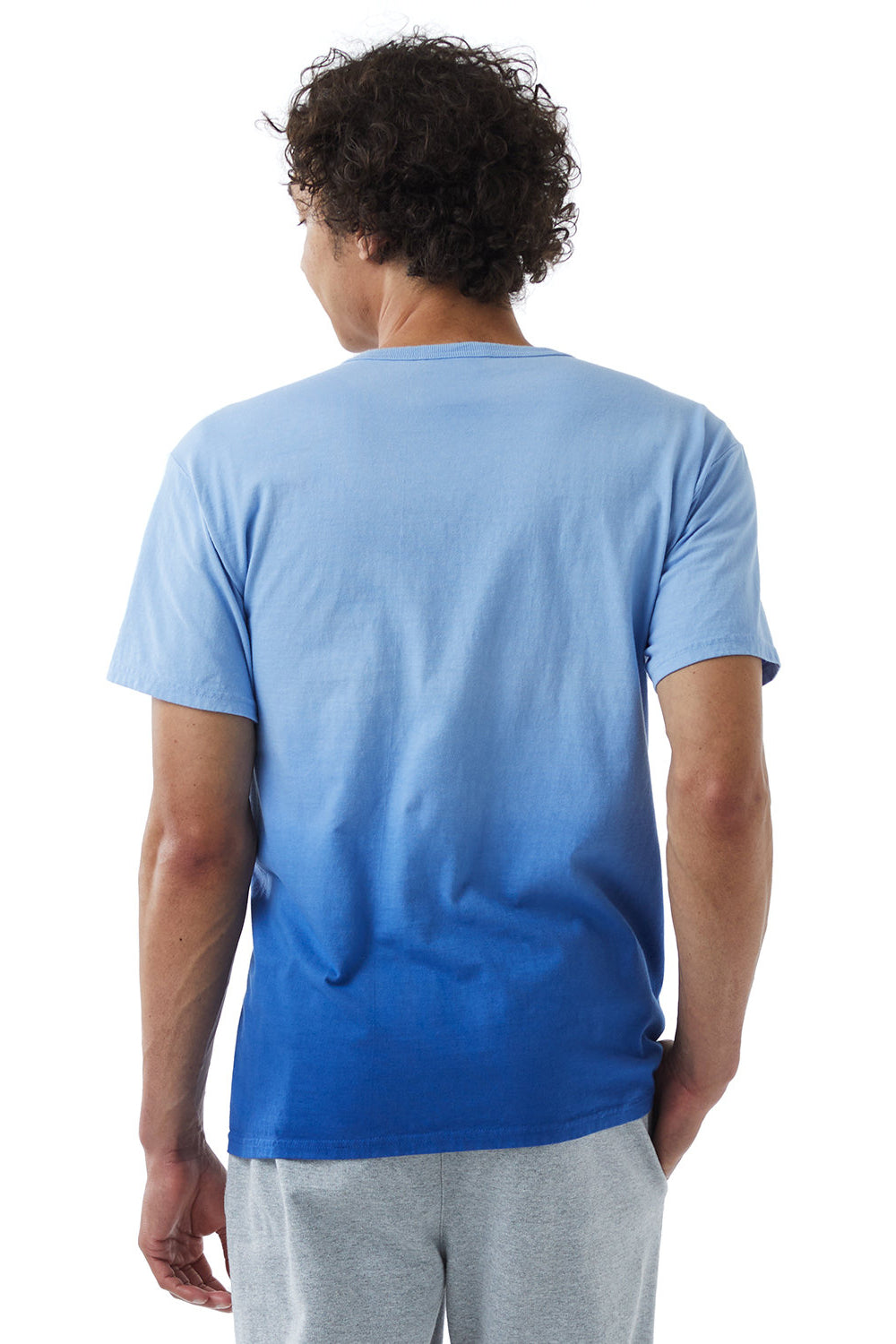 Champion CD100D Mens Dip Dye Short Sleeve Crewneck T-Shirt Royal Blue Ombre Back