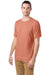 ComfortWash by Hanes GDH100 Mens Short Sleeve Crewneck T-Shirt Clay Red 3Q