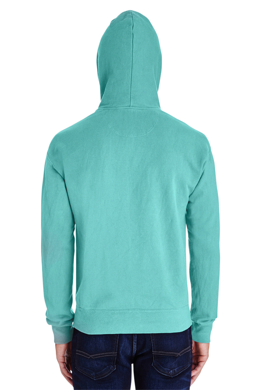 ComfortWash By Hanes GDH450 Mens Hooded Sweatshirt Hoodie Mint Green Back