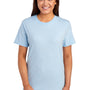 Fruit Of The Loom Mens Iconic Short Sleeve Crewneck T-Shirt - Heather Cloud Blue