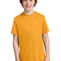 Port & Company Youth Dry Zone Performance Moisture Wicking Short Sleeve Crewneck T-Shirt - Gold
