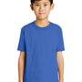 Port & Company Youth Core Short Sleeve Crewneck T-Shirt - Royal Blue
