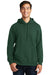 Port & Company PC850H Mens Fan Favorite Fleece Hooded Sweatshirt Hoodie Forest Green Front