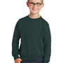 Port & Company Youth Core Pill Resistant Fleece Crewneck Sweatshirt - Dark Green