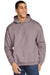 Gildan SF500 Mens Softstyle Hooded Sweatshirt Hoodie Paragon Front