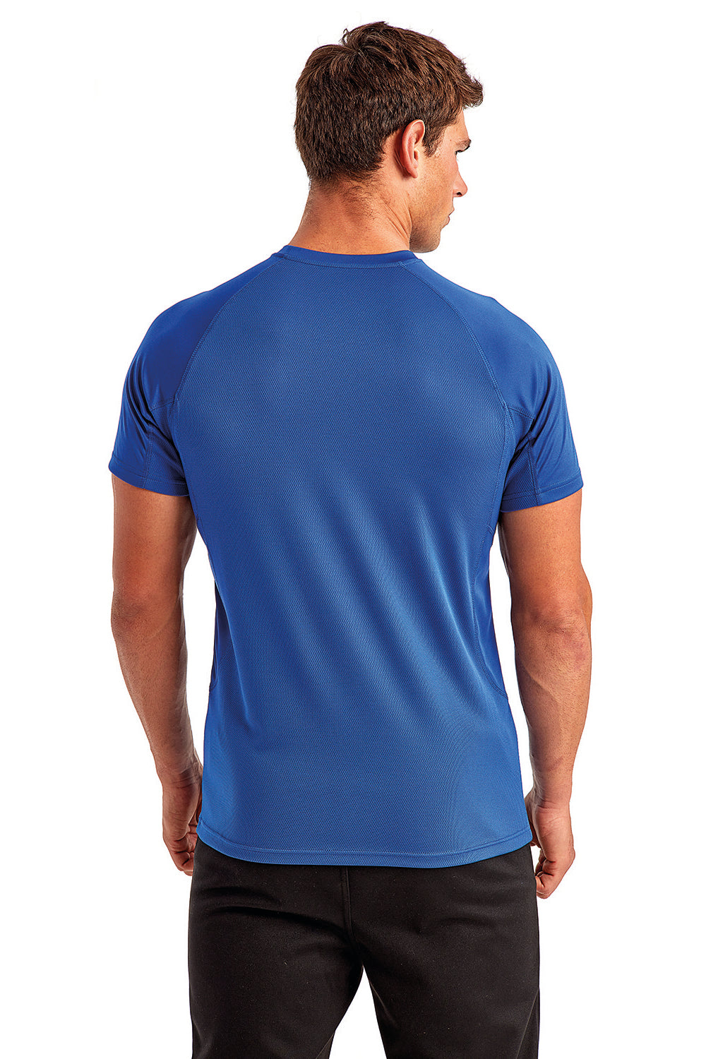 TriDri TD011 Mens Panelled Tech Moisture Wicking Short Sleeve Crewneck T-Shirt Royal Blue Back